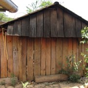 Cuauxicala _huauchinango17